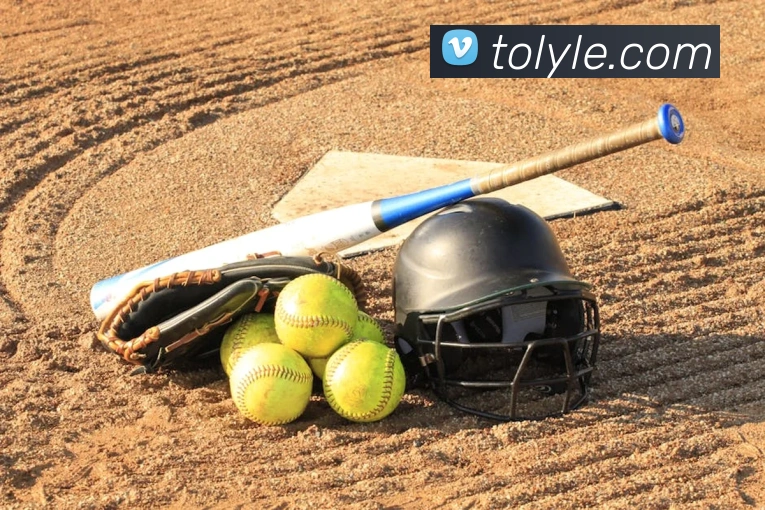 企业概况